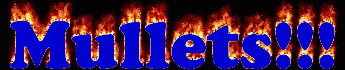 coollogo_com_291962022.gif